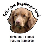 KOWI